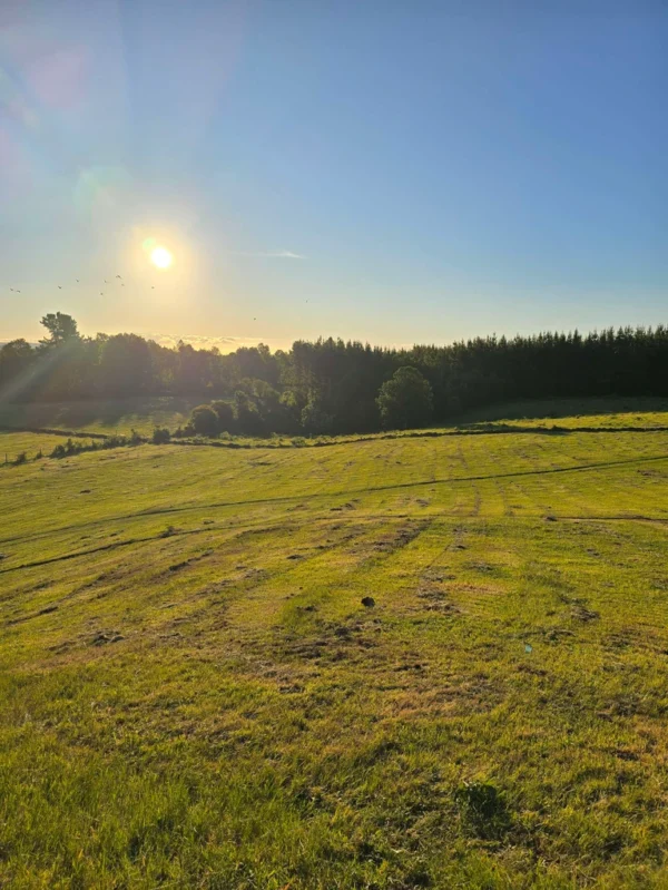 la comarca a solo 10 km de villarrica desde $39.990.000