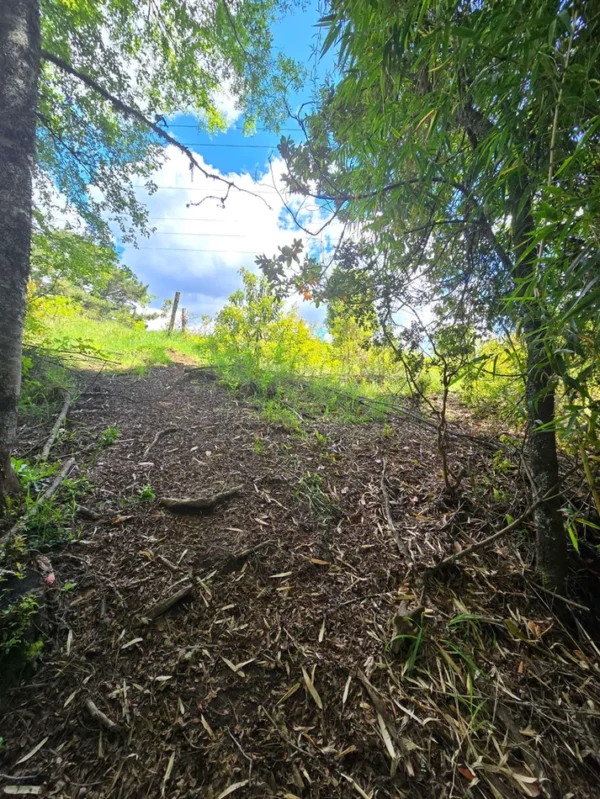 campo san nicolás Últimas parcelas disponibles