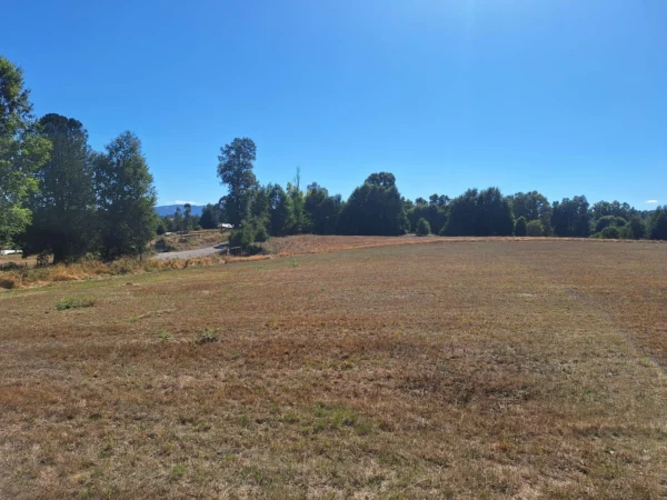 séptima faja hermosas parcelas a 20 min de villarrica desde $28.000.000