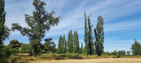 aires de puerto nuevo $22.990.000