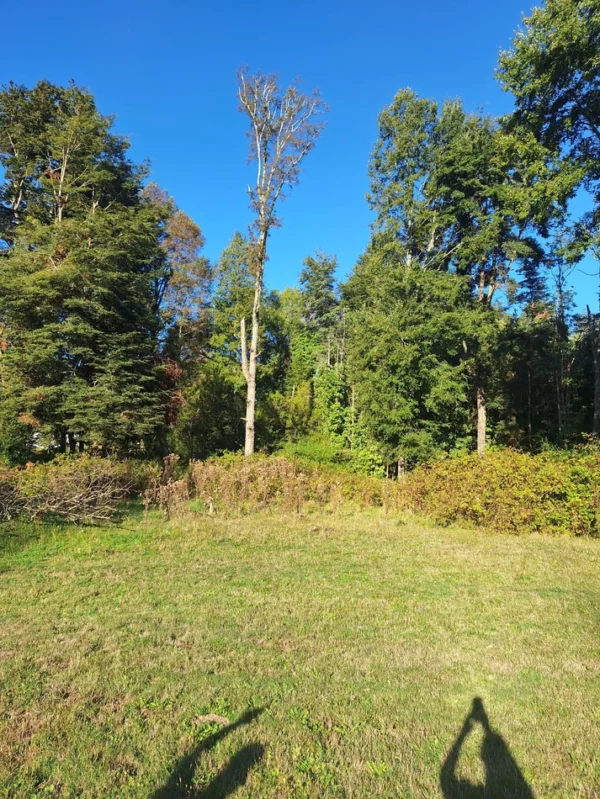 rinconada a solo 15 min de villarrica