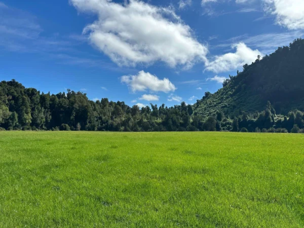 coihueco riverside puerto octay
