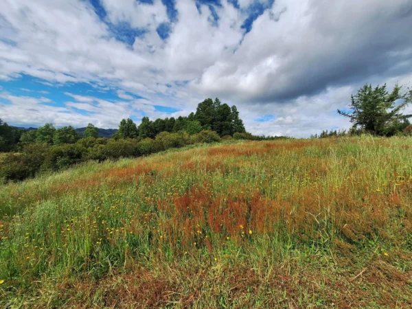 refugio huellanto sexta faja desde $19.990.000