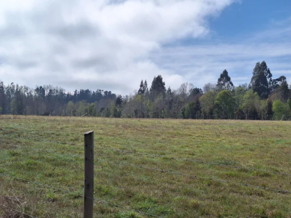 a 20 min de villarrica parcelas con luz, agua y cercadas