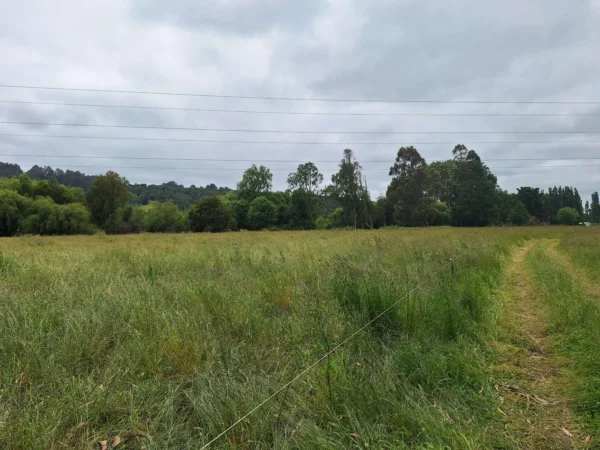 aires de paillaco $23.990.000