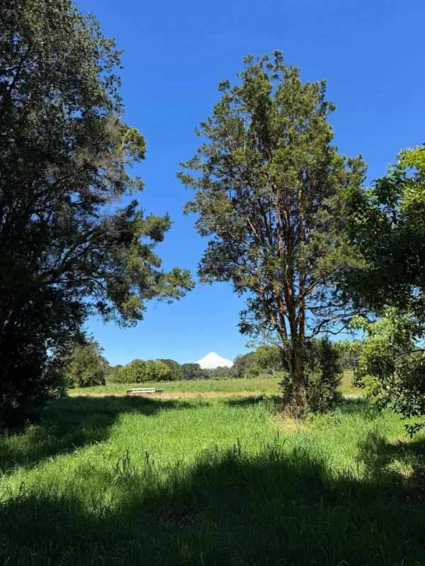 los molinos puerto octay