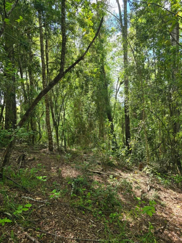 campo san nicolás Últimas parcelas disponibles