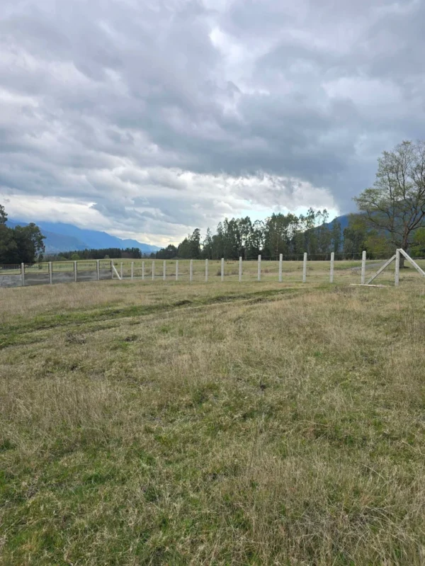 parcelas ruta cunco melipeuco