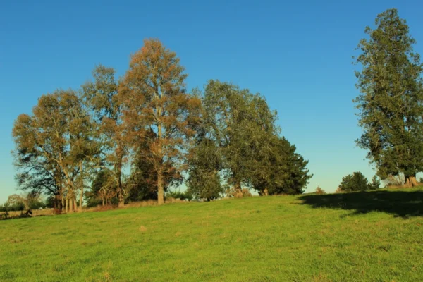 terrazas de crucero desde $25.000.000