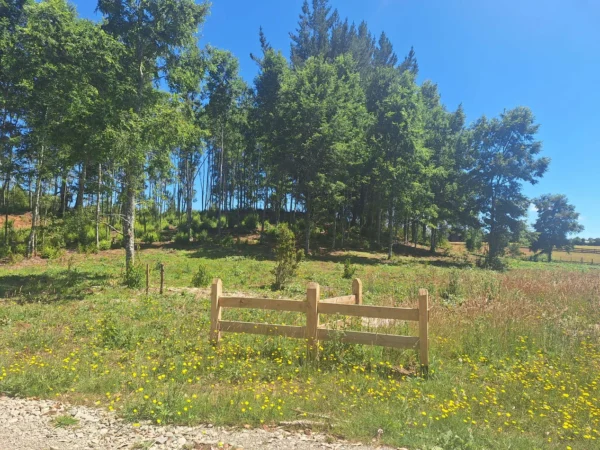 a solo 15 min de villarrica $38.000.000 crédito directo