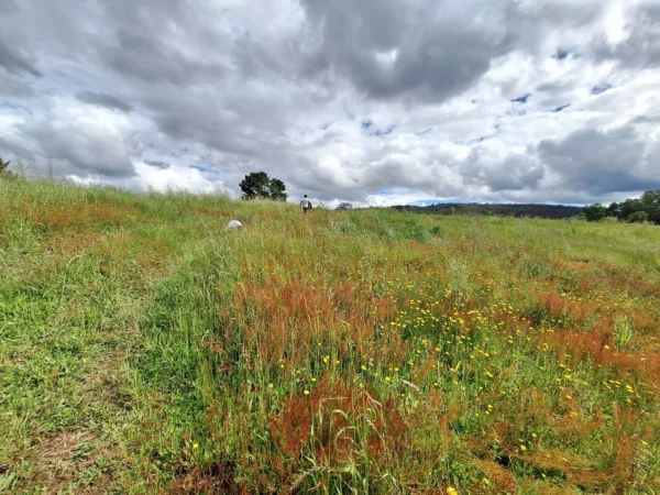 refugio huellanto sexta faja desde $19.990.000