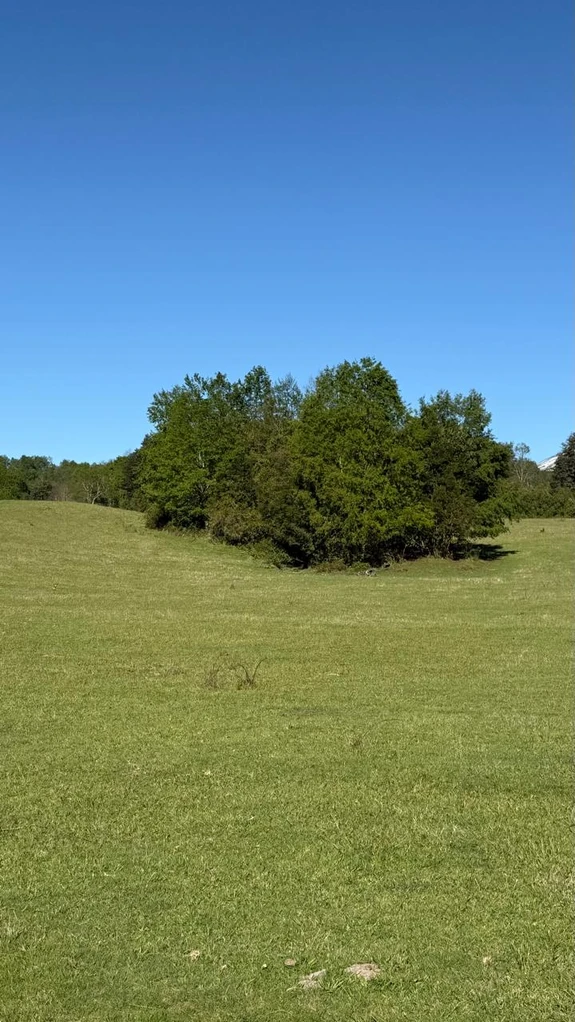 cumbres de puc贸n $29.990.000