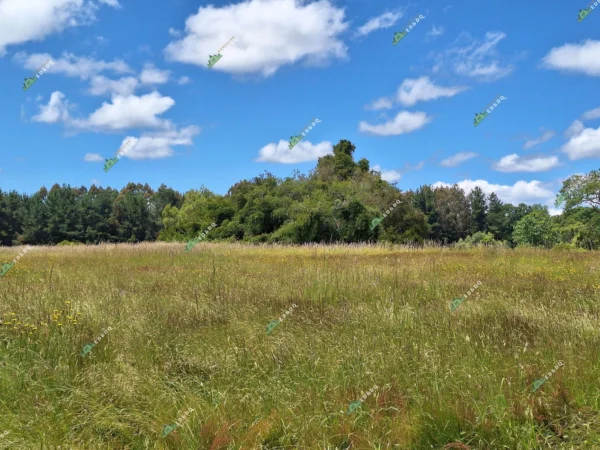 fundo santa clara $24.990.000 Últimas parcelas