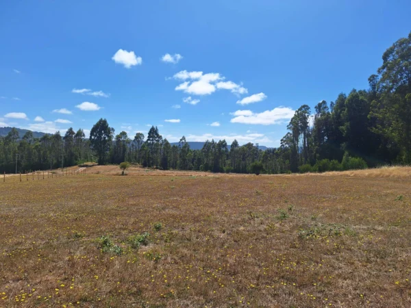 parque nativo sector huaqui $30.000.000 opción de crédito directo