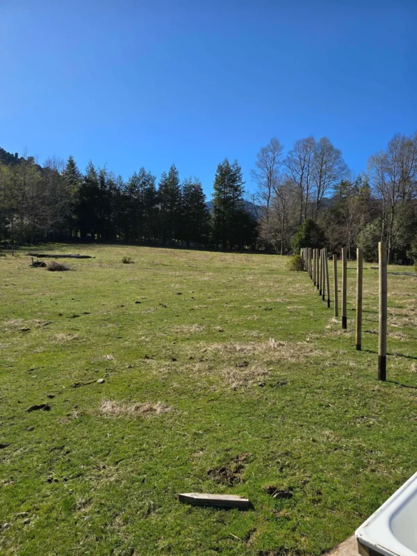 parcelas pino huacho lican ray