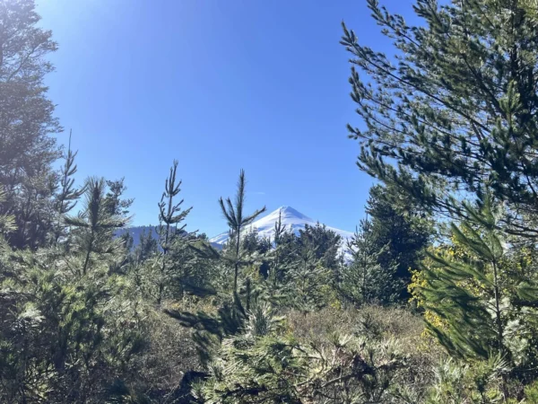 parcelas a minutos del lago calafquén $30.000.000