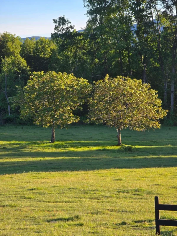 la comarca a solo 10 km de villarrica desde $39.990.000