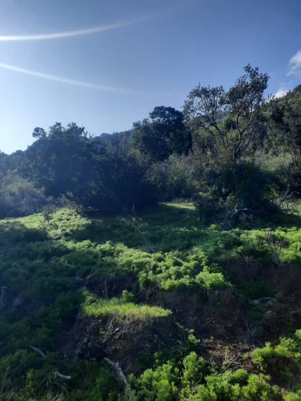 los molinos puerto octay (copia)