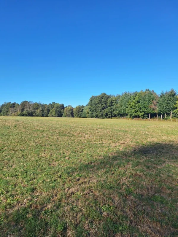 rinconada a solo 15 min de villarrica