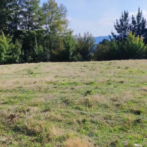 parcelas en relรบn a 15 km de villarrica