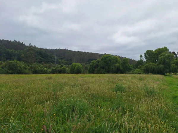 aires de paillaco $23.990.000