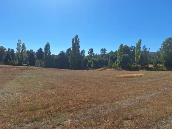 séptima faja hermosas parcelas a 20 min de villarrica desde $28.000.000