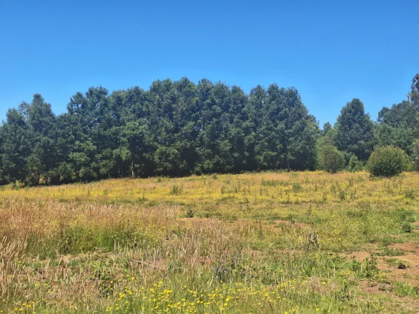 a solo 15 min de villarrica $38.000.000 crédito directo