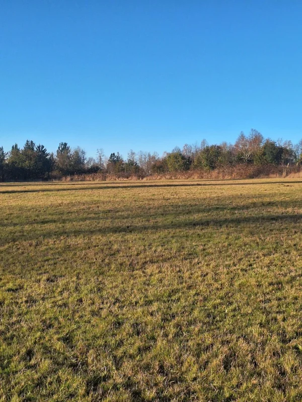 séptima faja hermosas parcelas a 20 min de villarrica desde $28.000.000