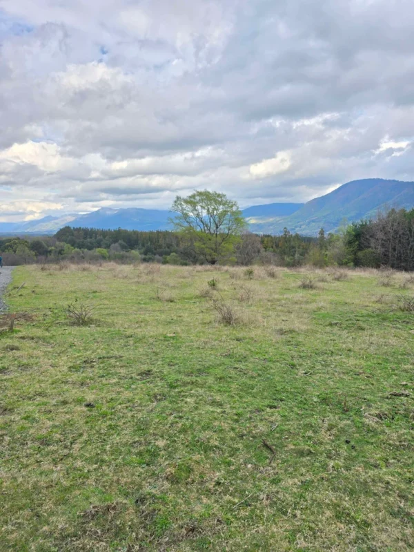 parcelas ruta cunco melipeuco