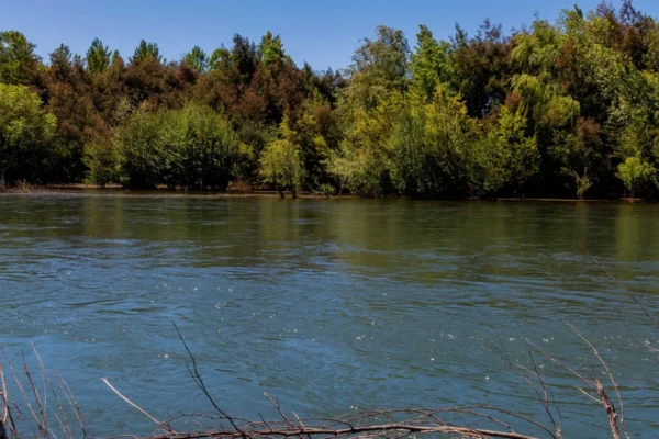 verde pradera 1 y 2 desde $15.990.000 crédito directo