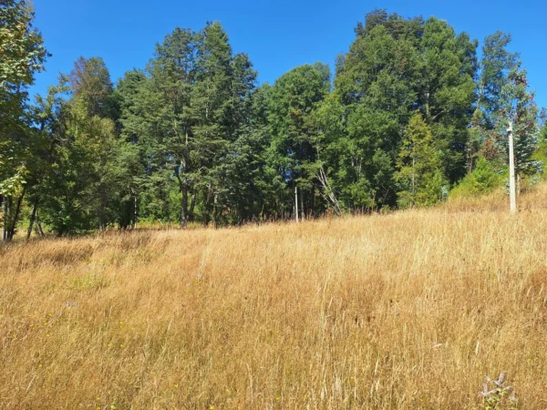 parque nativo sector huaqui $30.000.000 opción de crédito directo