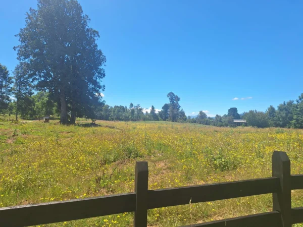 a solo 15 min de villarrica $38.000.000 crédito directo