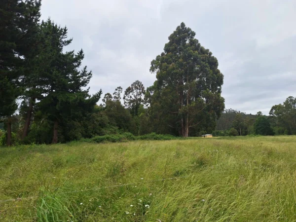 aires de paillaco $23.990.000