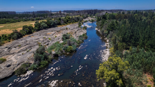 fundo del itata Últimas 2 parcelas