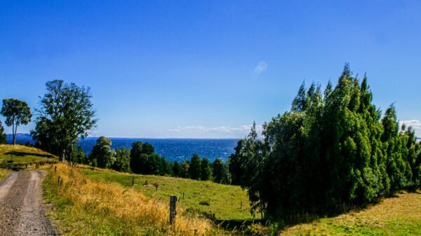 lomas las cascadas, ensenada región de los lagos