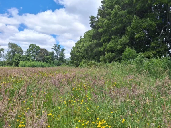 fundo santa clara $24.990.000 Últimas parcelas