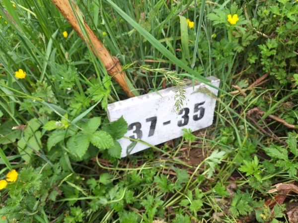 aires de paillaco $23.990.000