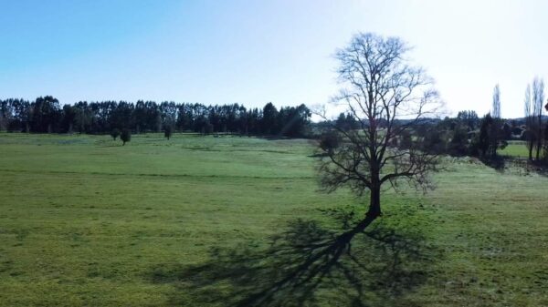 portal del ranco $24.990.000