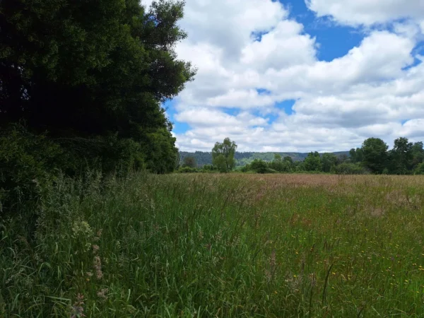 fundo santa clara $24.990.000 Últimas parcelas