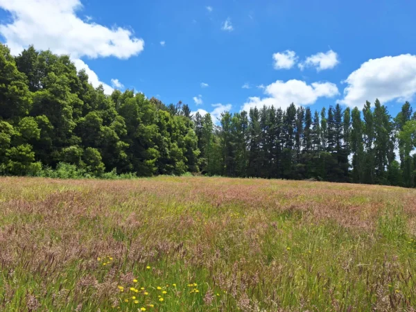 fundo santa clara $24.990.000 Últimas parcelas