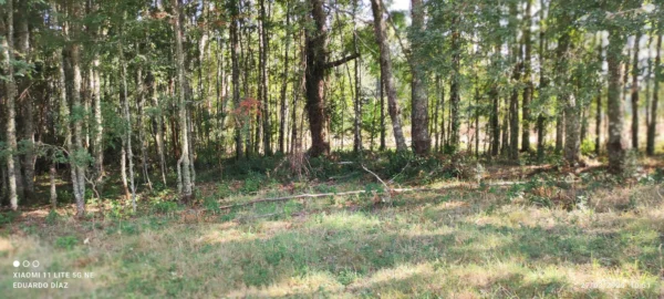 parcelas en relún a 15 km de villarrica