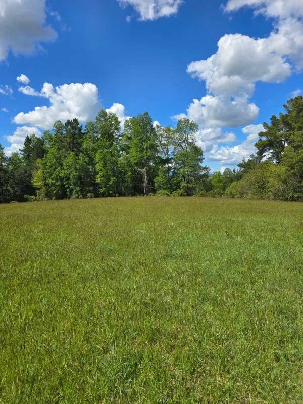 campo san nicolás Últimas parcelas disponibles