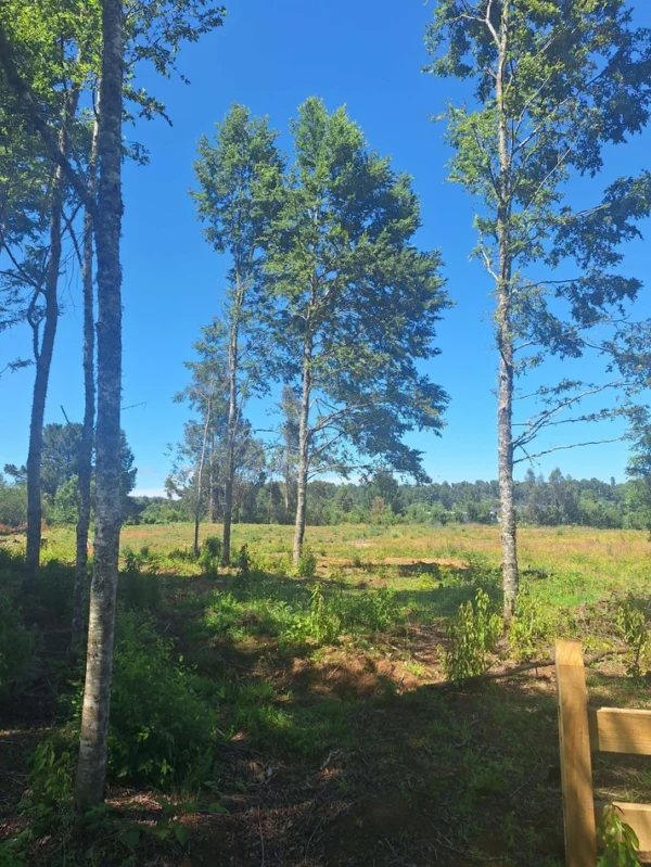 a solo 15 min de villarrica $38.000.000 crédito directo