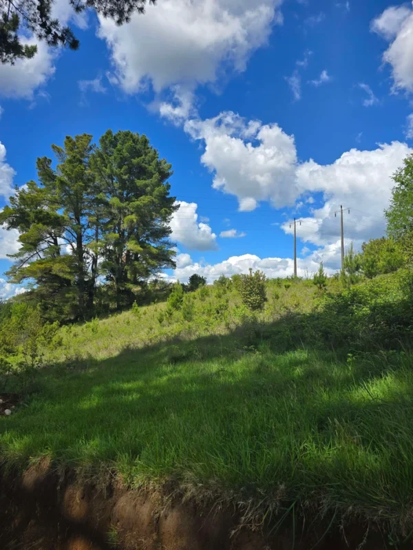 campo san nicolás Últimas parcelas disponibles