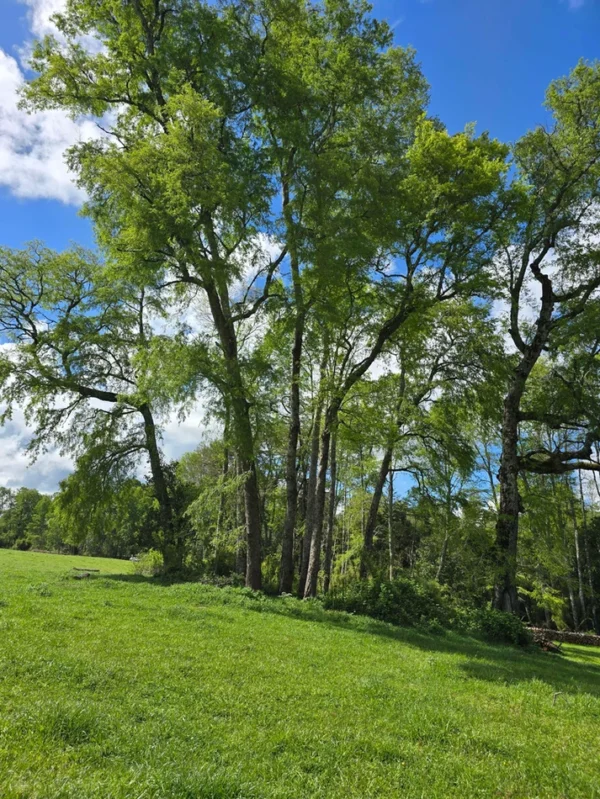 rinconada a solo 15 min de villarrica