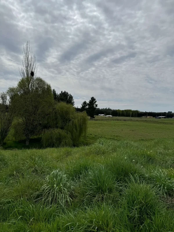 terrazas de crucero desde $25.000.000