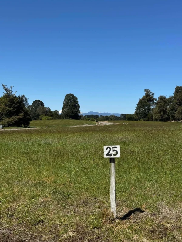 los molinos puerto octay