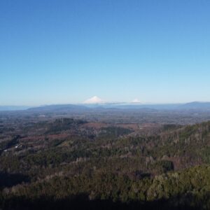 parcela de 1,9 hectáreas loncoche $39.990.000
