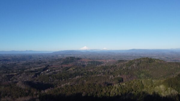 parcela de 1,9 hectáreas loncoche $39.990.000