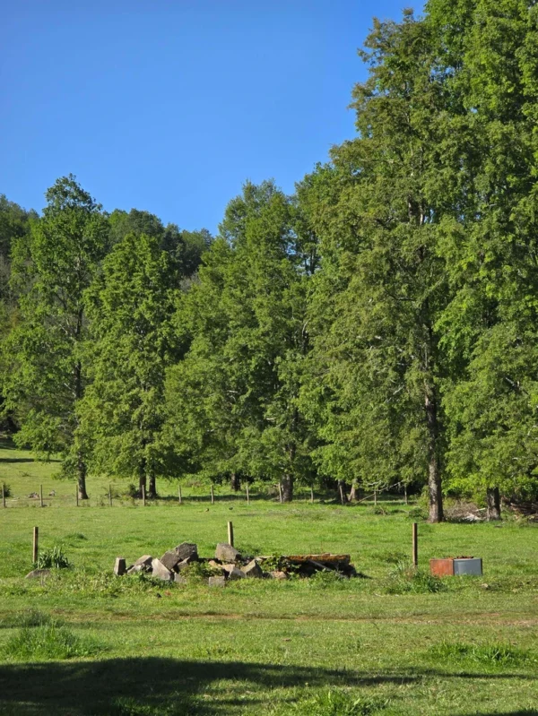 la comarca a solo 10 km de villarrica desde $39.990.000